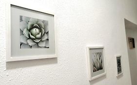 Room In The Center Of Alicante!