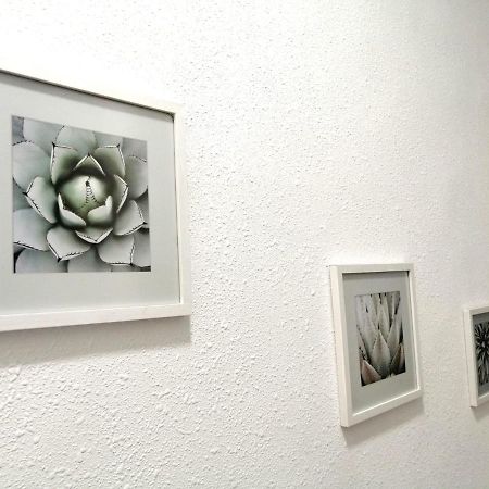 Room In The Center Of Alicante! Extérieur photo